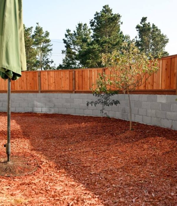 a fenced backyard with a green umbrella and a tree