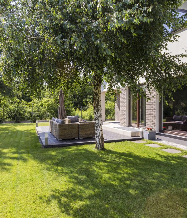 ADU Builder 50 green-backyard-of-a-modern-detached-house-with-a-2025-10-11-04-46-11-utc