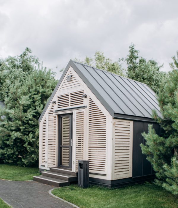 ADU Builder 38 modern houses in the ecological zone beautiful landscape green lawn and coniferous tree